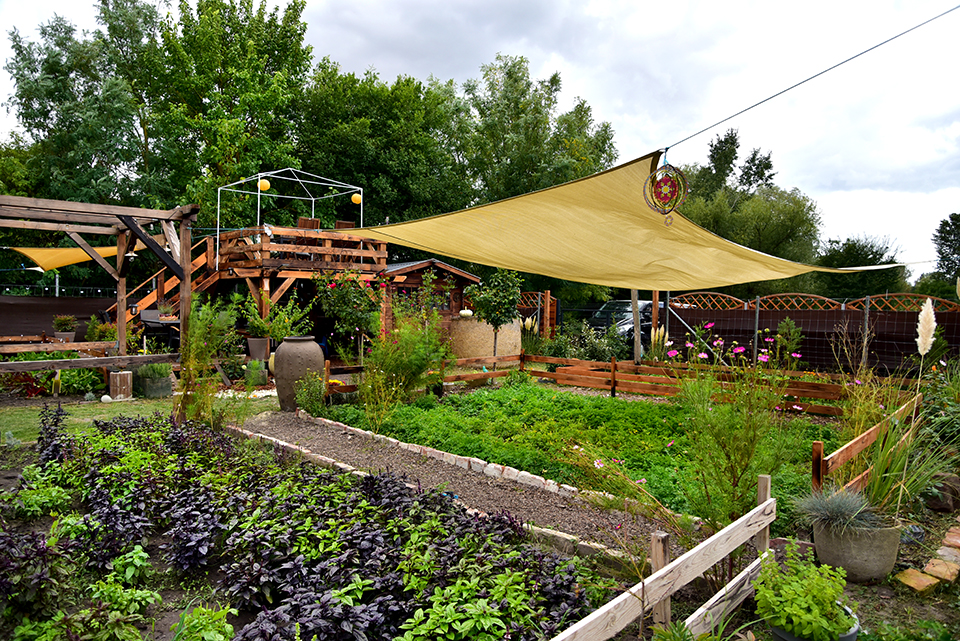 Kedvesem Farm 14.jpg