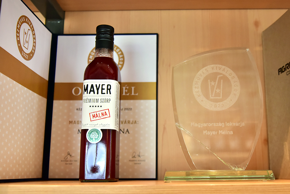 Mayer 04.jpg