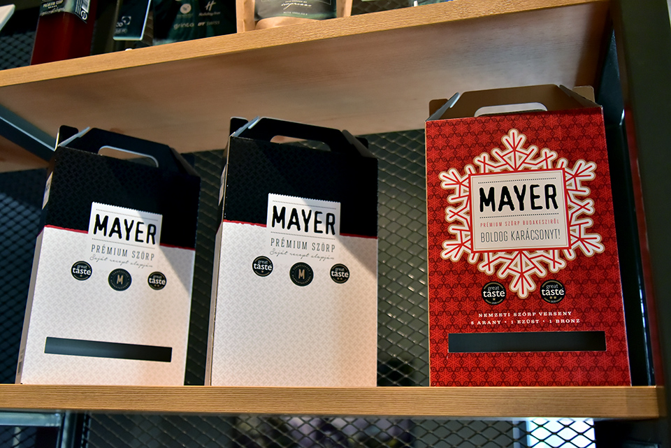 Mayer 05.jpg