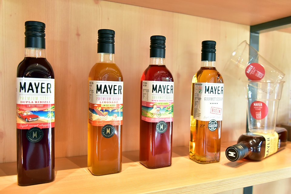Mayer 06.jpg