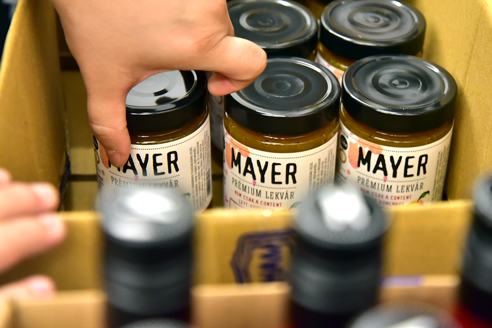 Mayer 38.jpg