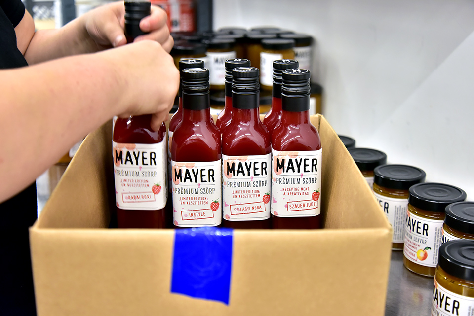 Mayer 39.jpg