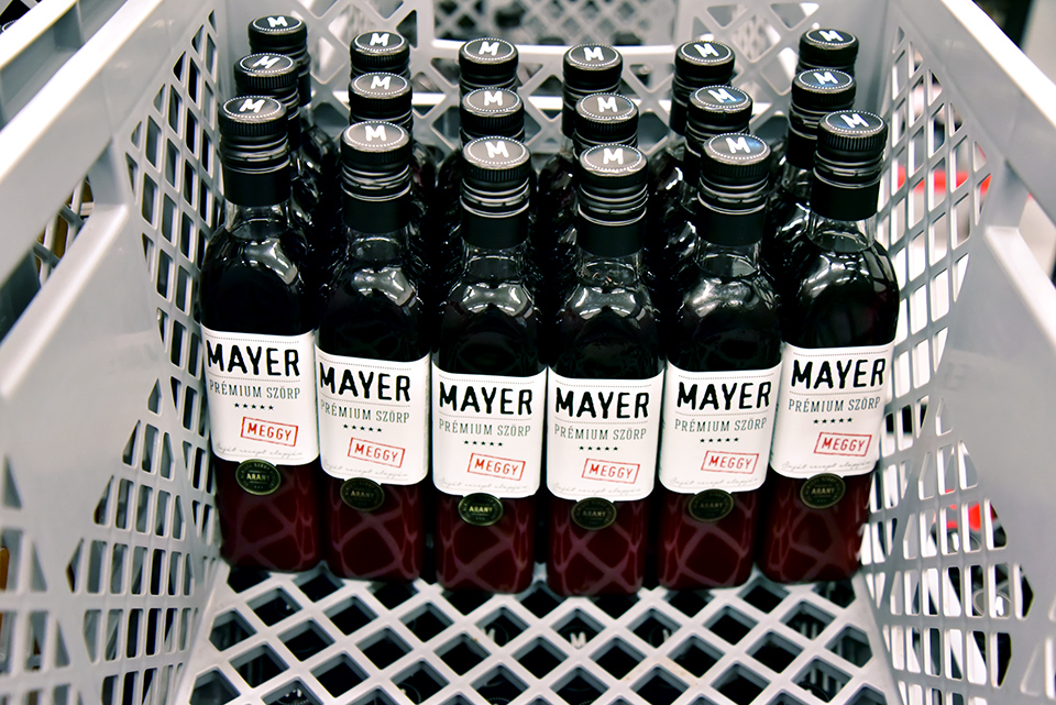Mayer 42.jpg