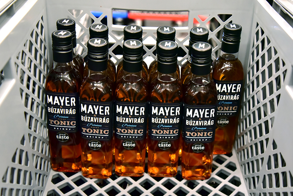 Mayer 43.jpg