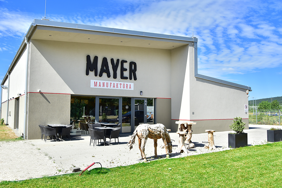 mayer 44