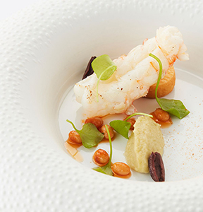 hofvancleve 01 kicsi