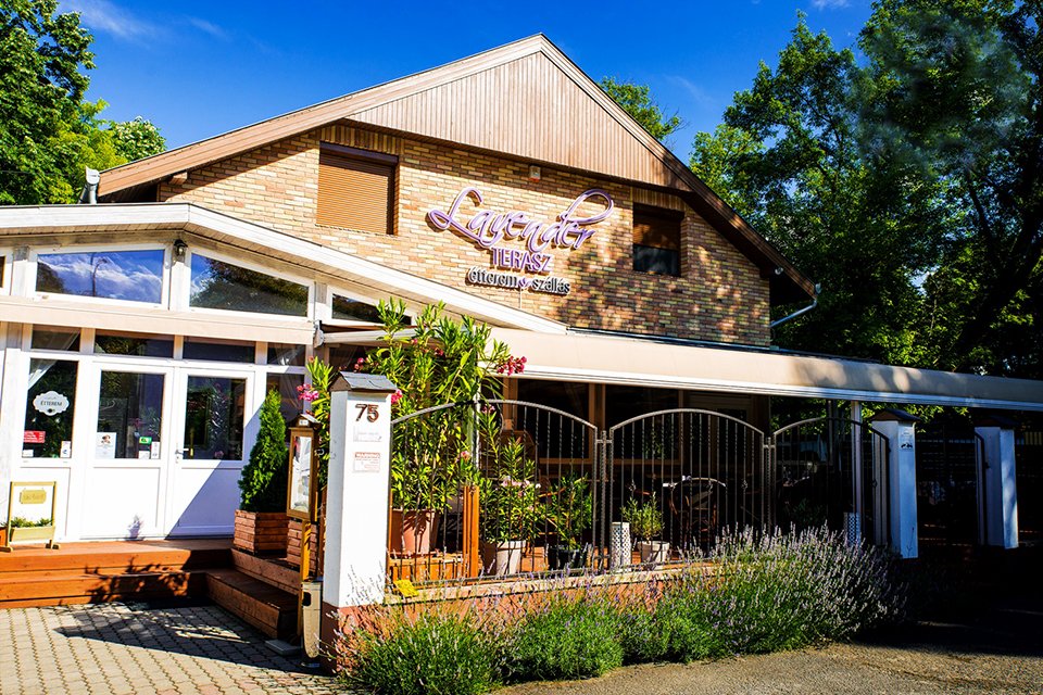 valentin lavender 02