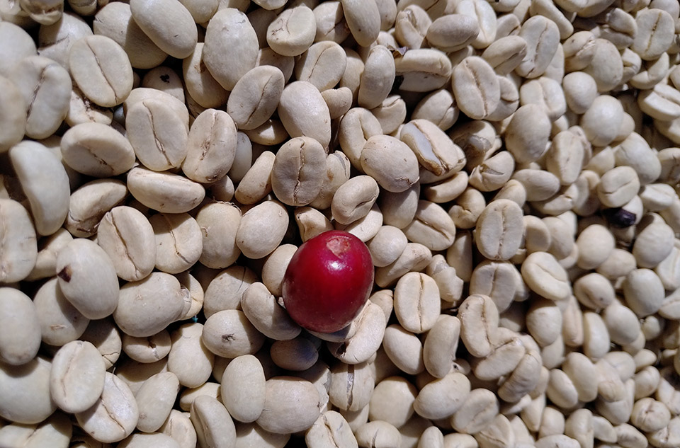 bányai tothsanyi 04