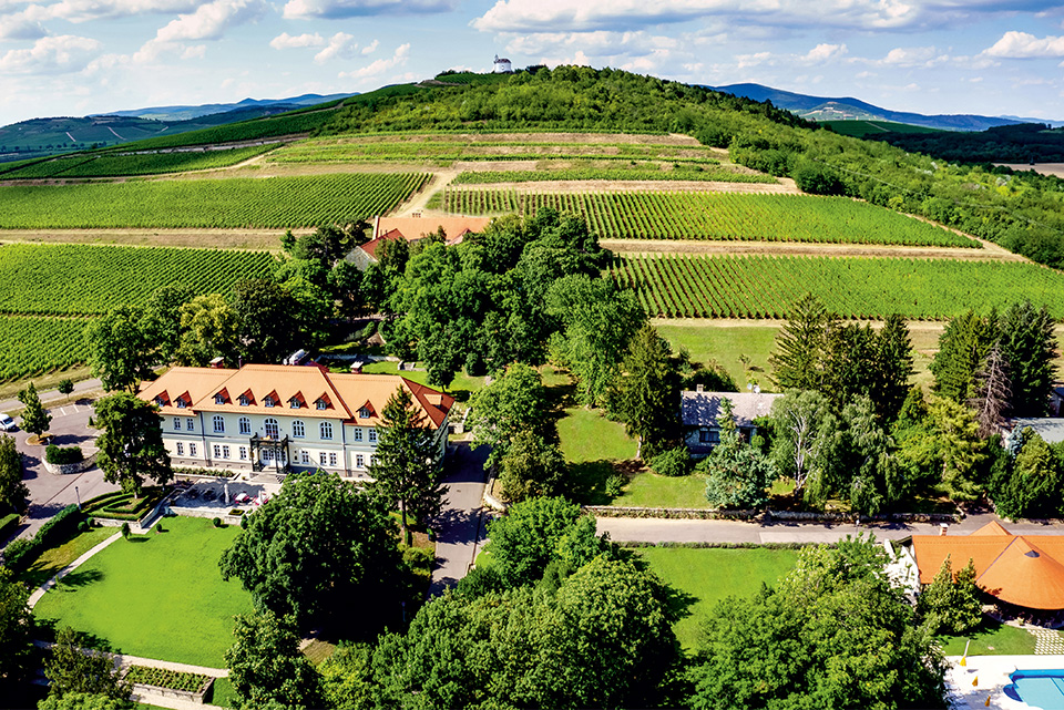 25husvét bor degenfeld08