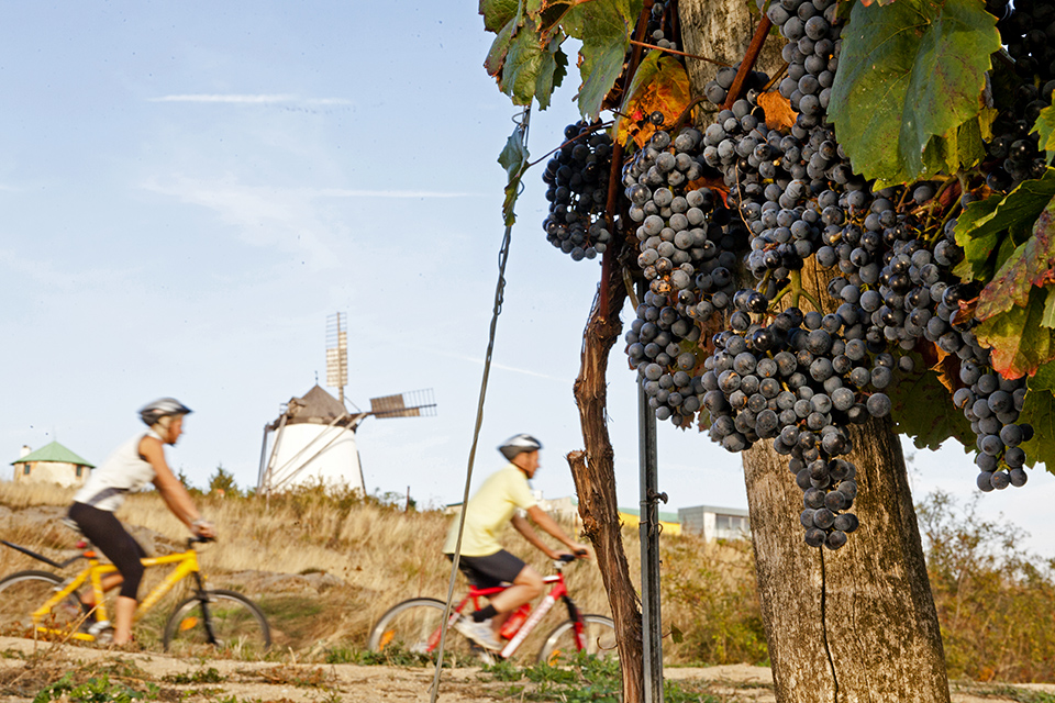 also ausztria borősz 05