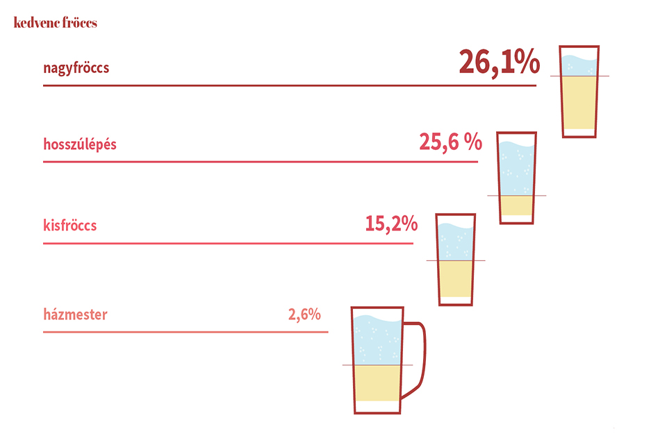fröccs felmérés 05