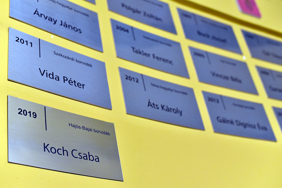 koch táblaavató 01