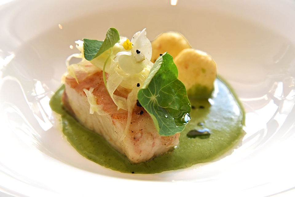 szepsy eletmudíj 04