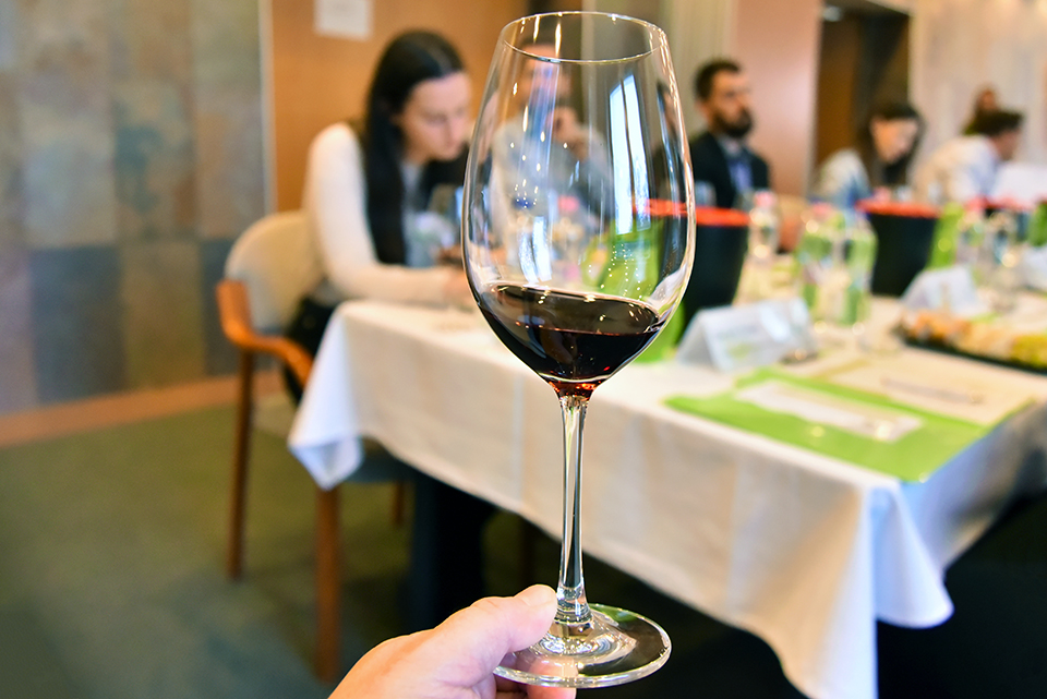 kékfrankos kóstoló 07