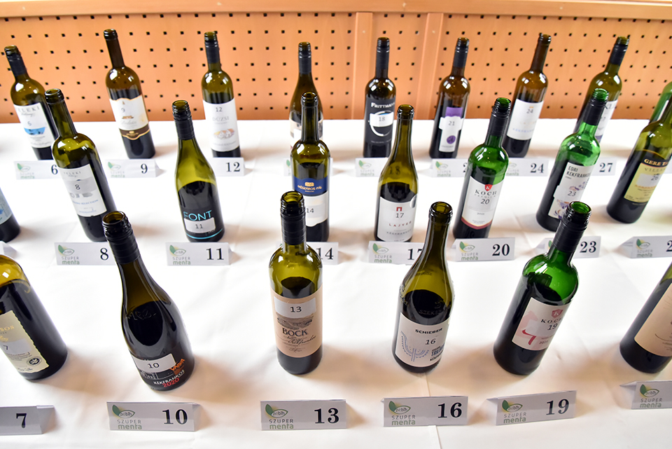 kékfrankos kóstoló 19