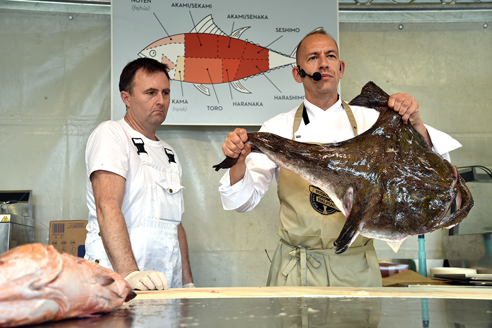 budaörsi halünnep 22